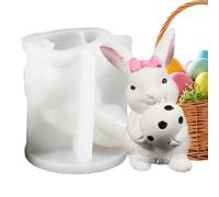 Pour Chocolat De Pâques - Outil de Bougies DIY | 3D pour Plâtre - Pour Maison Ferme Fête De Printemps Savon Fait Main Résine Craie Décoration Gâteau