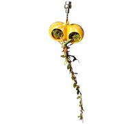 Pour clôture pour araignées sauteuses, ornement magnétique pour baignoire de reptiles, décoration caverne, pour terrarium, aquarium, jeu, escalade, repos et tarentule