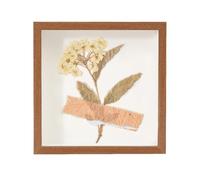 Pour conserver des souvenirs muraux, transparent, résistant à la poussière | Coffret vitrine pour souvenirs et souvenirs pour fleurs séchées, cartes postales, photos, gardes d'entrée, souvenirs, couples