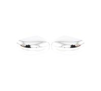 Pour Coque De Rétroviseur Alaska 2016-2024(High-end electroplating silver)