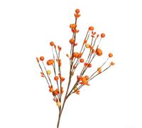Pour décoration de Thanksgiving avec fil flexible et mousse pour créer des couronnes d'automne et des centres de table à usage intérieur
