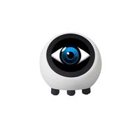 Pour DeepSeek XiaoZhi AI Chat Robot ESP32-S3 1,28 Pouces LCD Écran Tactile Développement Carte Horloge Bureau Ornement
