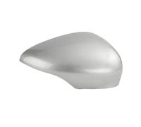 Pour Ford Pour Fiesta 2009 2010 2011 2012 2013 2014 2015 2016 Coque De Rétroviseur Coque De Rétroviseur Extérieur(Flaunt silver right)