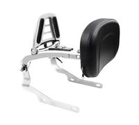 Pour Harley Pour Nightrider RH 975 Special RH975S 2022 2023 2024 Dossier Arrière Pour Passager Et Conducteur De Moto(Chrome)