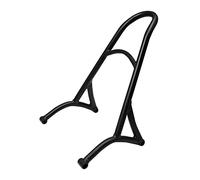 pour Harley pour Sportster Iron XL 883 1200 Quarante-Huit Soixante-Douze 2004-2016 Dossier De Barre Sissy Passager Arrière Amovible pour Moto MENSUNUBNM