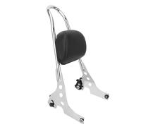 Pour Harley Sportster XL 883 1200 2004-2023 Coussin De Dossier Passager Arrière Amovible Pour Moto(Chrome)