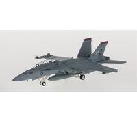 Pour Hogan pour Mcdonnell pour Douglas F/A-18F VFA-41 NH100 1:200 Avion Pré-construit Modèle