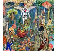 The Revivalists Pour It Out Into the Night (Vinyl)