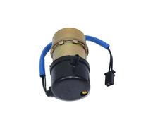 Pour Kawasaki Pour ZX-6R Pour ZX600 Pour ZX6R Pour ZX600F3 Pour ZX600G1 1995-1998 Pompe Essence Moto 10 Mm 12 V Moto Pompe Essence Fuel pumps