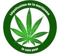Pour la légalisation de la marijuana (5x5cm) - Sticker