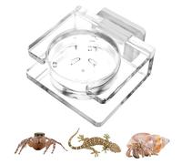pour l'alimentation de l'araignée de trémie | alimentaire magnétique | Accessoire d'alimentation de tarentule | Bol en acrylique transparent pour sauteur d'araignée tarentule petit