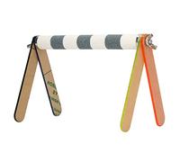 pour Le Support d'entraînement des Oiseaux, pour Les perroquets pour Les Oiseaux pour Animaux de Compagnie, Une Feuille Acrylique colorée, Un corindum à Surface Rugueux, Une (Vert Carbone)