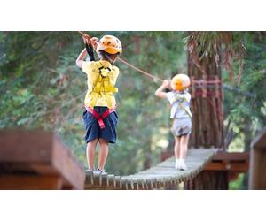 Pour les 10 ans et plus : accès en illimité aux parcours accrobranche