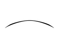pour Mercedes pour Benz W205 S205 Classe C C180 C200 C300 C43 C63 Amg 2014-2021 Coffre De Toit Arrière Becquet Queue Aile Lèvre Arrière Becquets(Noir Brillant)