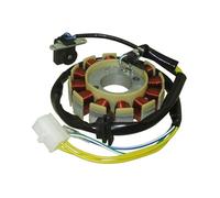 Pour Moteur Pour GY6 125cc 150cc Cyclomoteur Scooter 12 Pôles Bobines Allumage Stator Magnéto Moteur Générateur D'allumage