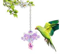 pour oiseaux | Exercice pour animaux de compagnie | Jouet interactif avec spinner et hochet pour perroquets | Pour intérieur, extérieur, jardin, cour, inséparables, conuris, calopsittes