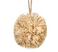 pour Oiseaux Mastication et recherche naturelles