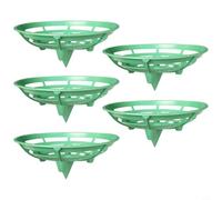 pour plateau Fruit Plastique Vert 23x20cm Lot de 5 pour plateau(Light green)