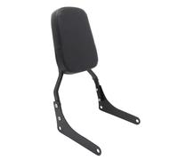 pour Rebel 250 pour CA250 pour CMX250 pour CMX250C Dossier Passager Moto Sissy Bar Moto Porte-Bagages