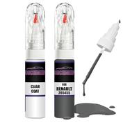Pour Renault GRIS SCHISTE MAT INTER 205455 + Kit de fixation vernis transparent