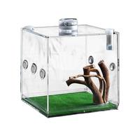 Pour Reptiles De - Cage Pour Animaux De Compagnie Réglable, Conteneur Mini Créature | Arachnide House, Terrarium D'insectes Exotiques, Clôture Transparent Pour Les Escarabées De Ta