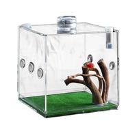 Pour Reptiles De - Cage Pour Animaux De Compagnie Réglable, Conteneur Mini Créature | Arachnide House, Terrarium D'insectes Exotiques, Clôture Transparent Pour Les Escarabées De Ta