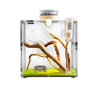 Pour Reptiles De - Cage Pour Animaux De Compagnie Réglable, Conteneur Mini Créature | Arachnide House, Terrarium D'insectes Exotiques, Clôture Transparent Pour Les Escarabées De Ta