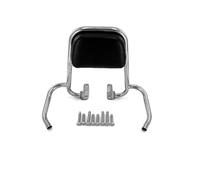 pour Royal Alloy RA150 RA200 GP200 TS300 Dossier De Moto Dossier du Siège Passager Arrière Coussin De Protection pour Appui Barres Maintien arrière(GP Stainless Steel)