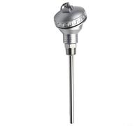 Pour sonde RTD PT100 conçue avec filetage 1/2 NPT pour un montage sûr dans les installations industrielles de surveillance et de contrôle de la température (150 mm)