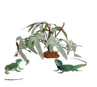 pour terrariums - pour Reptiles à Feuilles artificielles | Dragon Barbu Faux décor intérieur réaliste pour Poissons d'eau Douce du désert Tortue Betta Léopard Caméléon Grenouille ER