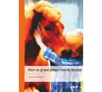 Pour un grand poney roux du Sinaloa