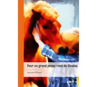 Pour un grand poney roux du Sinaloa - Jacques Effinger - Publibook - broché - Roman