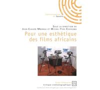 Pour une esthétique des films africains