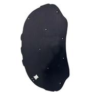 Pour VW Pour Passat CC 2009-2017 : Tapis Isolant Thermique Et Phonique En Coton Pour Coffre Tapis Isolant Capot Voiture
