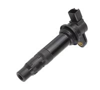 Pour Waverunner FX1100 Pour Cruiser HO VX1100 Bobine D'allumage Pour Luxe Pour Capuchon Bougie 6B6-82310-00-00 Bobines D'allumage(1 piece)