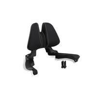 Pour X-ADV 350 XADV350 2022-2025 NSS 350 Nss350 2023-2025 Moto Siège Passager Arrière Dossier Coussin Dossier Coussin Dossier Coussin Dossiers moto