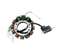 Pour XT 600 Pour Kicker XT500 XT600 2KF 43F 1984-1989 Pour SRX 600 Moto Stator Bobine Magneto Accessoires 1x Plaque Stator
