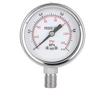 pour Y-60BF, pour la Pression, l'acier Inoxydable, 0-1,0 MPA, résistant à la Corrosion, Haute précision, Vide Radial, Usage Industriel