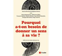 Pourquoi a-t-on besoin de donner un sens à sa vie ? - Stéphane Breton - L'aube Eds De - broché - Essai