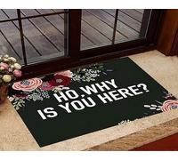 Pourquoi ES-Tu Ici Paillasson Exterieur Antidérapant Absorbant Paillasson Facile À Nettoyer Tapis De Porte pour Accessoires Maison Extérieur Intérieur 40 X 60Cm