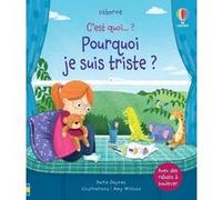 Pourquoi je suis triste ? - C'est quoi... ? Katie Daynes (Auteur), Amy Willcox (Illustration), Sasha Lillie Lyons (Contributions), Caroline Ryder (Conception couverture ou illustration), Claire Lefebv