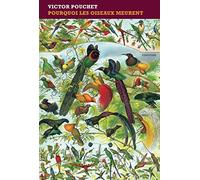 Pourquoi les oiseaux meurent