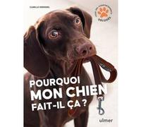 Pourquoi Mon Chien Fait-Il Ça ?