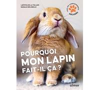 Pourquoi mon lapin fait-il ça ?