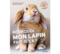 Pourquoi Mon Lapin Fait-Il Ça ?