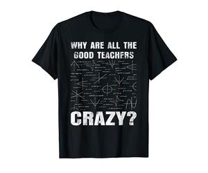 Pourquoi tous les bons professeurs sont-ils fous de maths T-Shirt