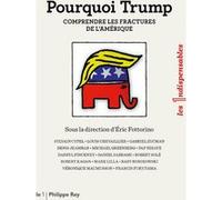 Pourquoi Trump - Comprendre les fractures de l'Amérique Collectif (Auteur)
