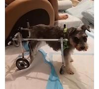 Poussette à 4 roues pour chiens de petite, moyenne et grande taille, support complet pour fauteuil roulant à quatre roues, genouillère déchirée