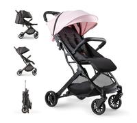 Poussette Canne Interbaby | Poussette Compacte de la Naissance à 48 Mois ou 22 kgs | Bouton de Pliage Rapide, Amortisseurs, Capote XXL Interchangeable | Poussette Minimum Plus Space Rose