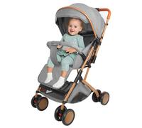 Poussette Canne,Poussette Bebe Légère et Compacte,3 en 1,assis/levé/poussé,Moustiquaire avec coussin en coton,Roues en mousse EVA/Gris
